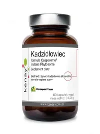 kenay-kadzidlowiec-casperome-indena-phytosome-ekstrakt-60-kaps