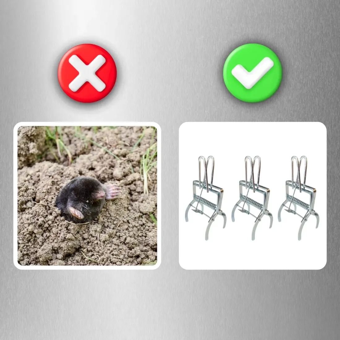 3x-pulapka-lapka-na-krety-nornice-profesjonalna-gilotyna-metalowa-kretolap