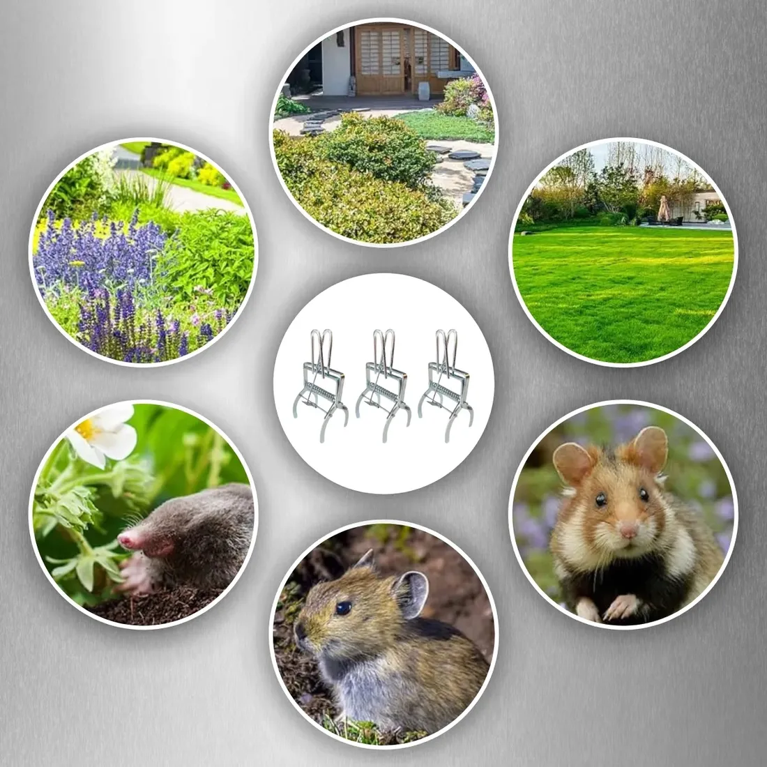 3x-pulapka-lapka-na-krety-nornice-profesjonalna-gilotyna-metalowa-kretolap-stan-nowy