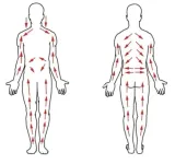 szczotka-do-mycia-ciala-naturalna-drewniana-masaz-material-rekojesci-tworzywo-naturalne