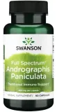 swanson-full-spectrum-andrographis-paniculata-400-mg-60-kaps-postac-kapsulki