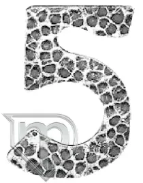 cyfra-piec-64-105-h120