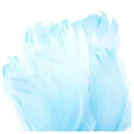 piorka-dekoracyjne-piora-ozdobne-piorko-w-torebce-niebieskie-puch-torebka