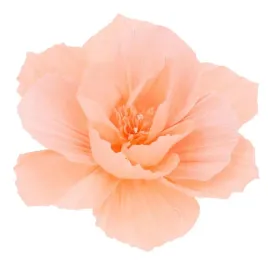 kwiat-bibulowy-dekoracje-diy-do-girlandy-balonowej-ozdoba-scianki-do-zdjec