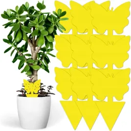 zolte-lepy-do-doniczek-zolty-lep-na-ziemiorki-owady-owocowki-muszki-10x