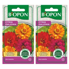 biopon-nasiona-kwiatow-cynia-wytworna-daliowa-mieszanka-mix-kolorow-1g-x2