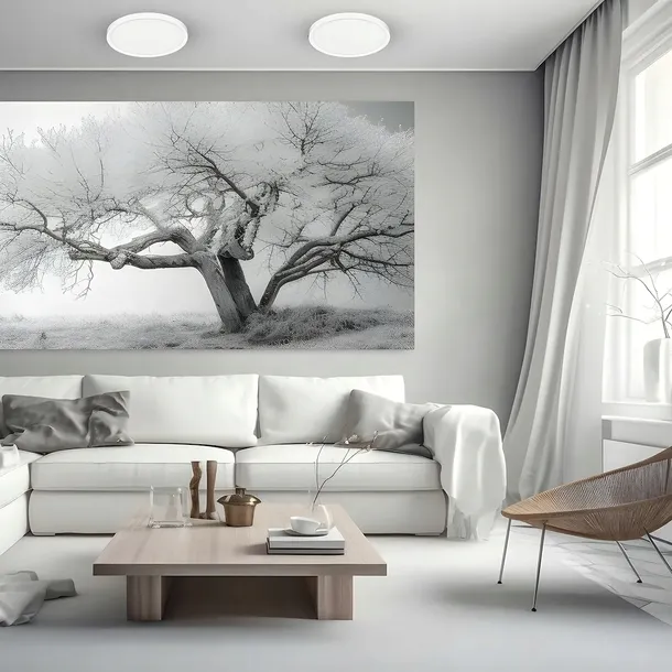 plafon-maq-24w-3cct-bialy-waga-z-opakowaniem-0-65-kg