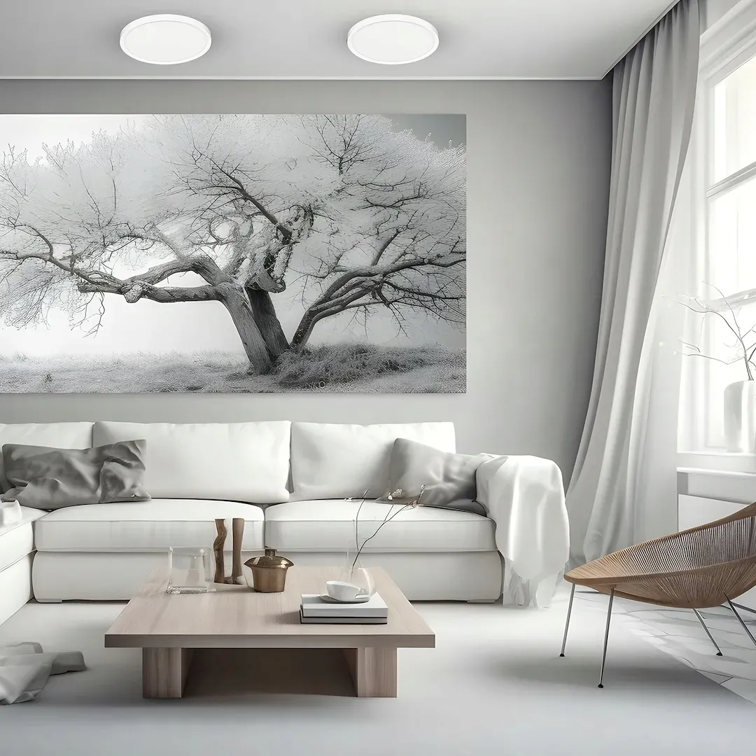 plafon-maq-24w-3cct-bialy