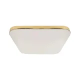 plafon-nemo-gold-17w-led