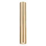 genesis-spot-gold-1xgu10-40cm
