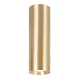 genesis-spot-gold-1xgu10-20cm