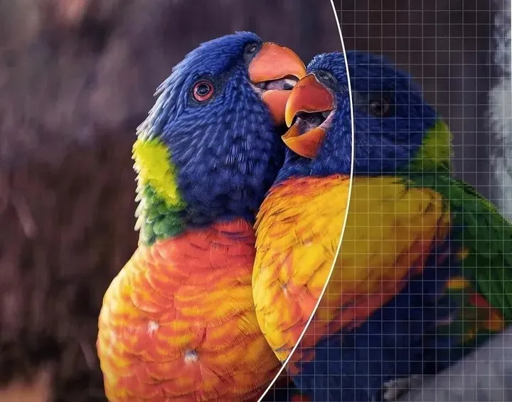 projektor-lcd-polocsh-p6-bialy-kolor-bialy