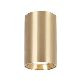 genesis-spot-gold-1xgu10-10cm