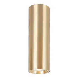 genesis-spot-gold-1xgu10-20cm