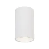 genesis-spot-white-1xgu10-10cm