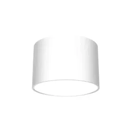 lampa-sufitowa-led-dixie-white-1xgx53