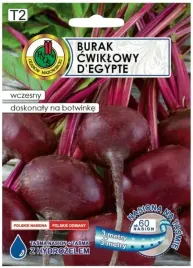 burak-cwiklowy-d-egypte-tasma-6-m-wczesna-i-plenna-odmiana-egipska