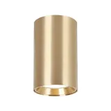 genesis-spot-gold-1xgu10-10cm