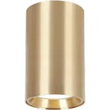 genesis-spot-gold-1xgu10-10cm-opakowanie-butelka