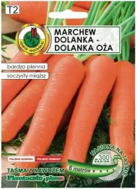 marchew-dolanka-6m-tasmy-z-nawozem-platnacote-odmiana-pozna