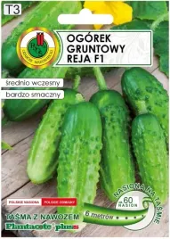 ogorek-reja-f1-6m-tasmy-z-nawozem-platnacote-srednio-wczesna-odmiana