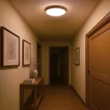 plafon-orinoko-36w-led-o480-ksztalt-okragly