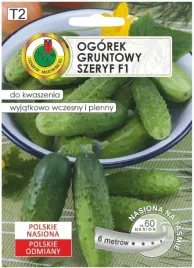 ogorek-hermes-skierniewicki-f1-nasiona-na-tasmie-6m-wczesna-odmiana