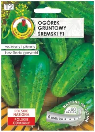 ogorek-sremski-f1-60-nasion-na-tasmie-6m-wczesna-odmiana-do-konserwowania