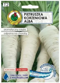 pietruszka-alba-tasma-6m-srednio-pozna-odmiana-do-przetworstwa