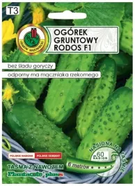 ogorek-rodos-f1-6m-tasmy-z-nawozem-platnacote-srednio-wczesna-odmiana