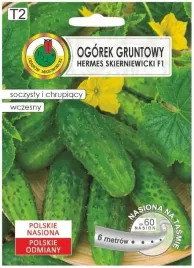 nasiona-ogorek-hermes-skierniewicki-f1-wczesna-odmiana-na-tasmie-6m