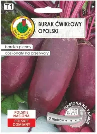 burak-cwiklowy-opolski-cylindryczny-na-tasmie-6m-nasiona