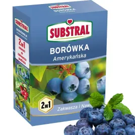 substral-nawoz-do-borowki-borowek-amerykanskich-zakwaszajacy-2w1-1kg