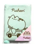 pusheen-notes-a5-96k-zielony-stan-nowy