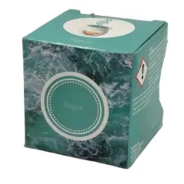 home-wax-moods-wosk-zapachowy-do-kominkow-zapachowych-6szt-aqua-65g
