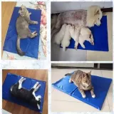 mata-chlodzaca-dla-psa-60x80cm-niebieska-kolor-niebieski