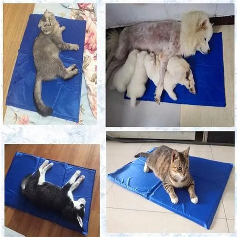 mata-chlodzaca-dla-psa-60x80cm-niebieska