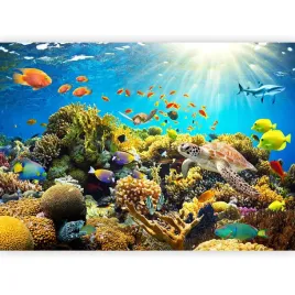 fototapeta-samoprzylepna-ocean-rafa-koralowa-ryby-tapeta-dla-dzieci-343x256