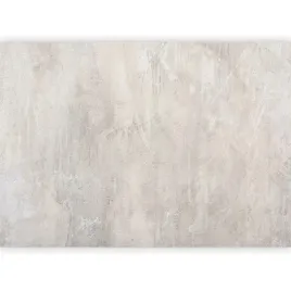 fototapeta-premium-liscie-beton-tlo-szara-boho-tapeta-na-sciane-3d-350x256