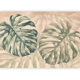 fototapeta-samoprzylepna-liscie-monstera-bez-rosliny-boho-natura-3d-490x350