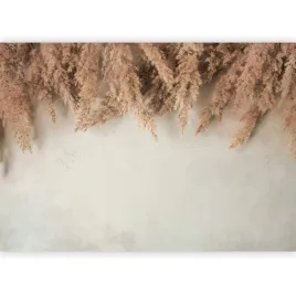 fototapeta-trawa-pompasowa-zboze-laka-boho-bez-tapeta-do-salonu-3d-400x280