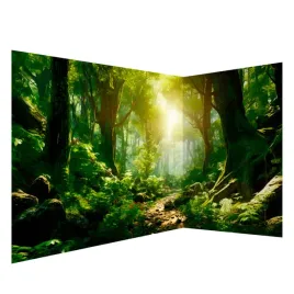 fototapeta-narozna-premium-magiczny-gesty-las-polana-drzewa-salon-550x250