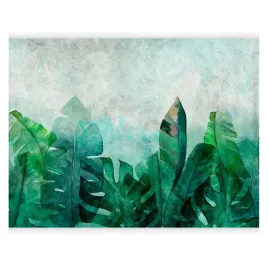 fototapeta-egzotyczne-liscie-tropikalne-liscie-monstera-do-salonu-500x350