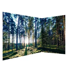 fototapeta-narozna-samoprzylepna-panorama-las-drzewa-wschod-slonca-539x250