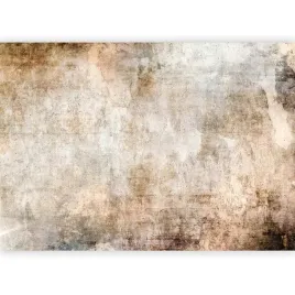 fototapeta-beton-tlo-sciana-loft-rdza-imitacja-do-salonu-sypialni-450x315
