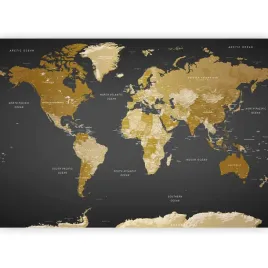 fototapeta-premium-mapa-swiata-polityczna-ciemna-braz-sypialnia-3d-300x210