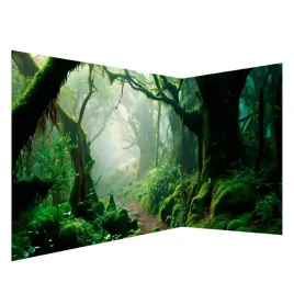 fototapeta-narozna-magiczny-ciemny-gesty-las-polana-drzewa-deby-3d-550x250