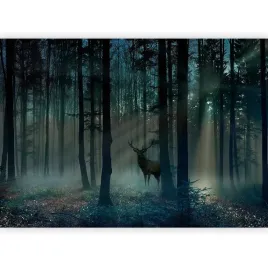 fototapeta-las-po-zmroku-jelen-natura-tajemniczy-do-salonu-sypialni-400x280