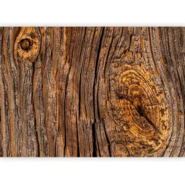 fototapeta-premium-drewno-stara-deska-tapeta-na-sciane-sypialnia-400x280