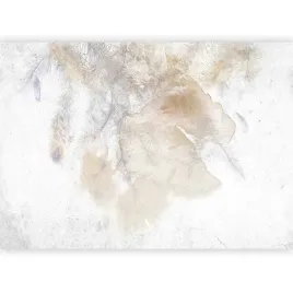 fototapeta-piorka-piora-boho-bezowa-betonowa-sciana-tapeta-salon-3d-400x280